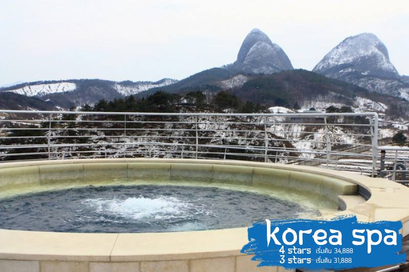 Ginseng Spa in Korea เกาหลีใต้