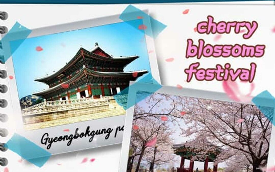 Cherry Blossoms Festival