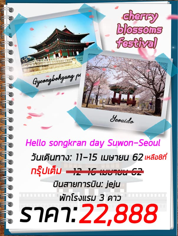 Cherry Blossoms Festival เกาหลีใต้