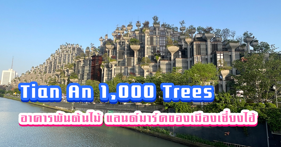 Tian An 1,000 Trees